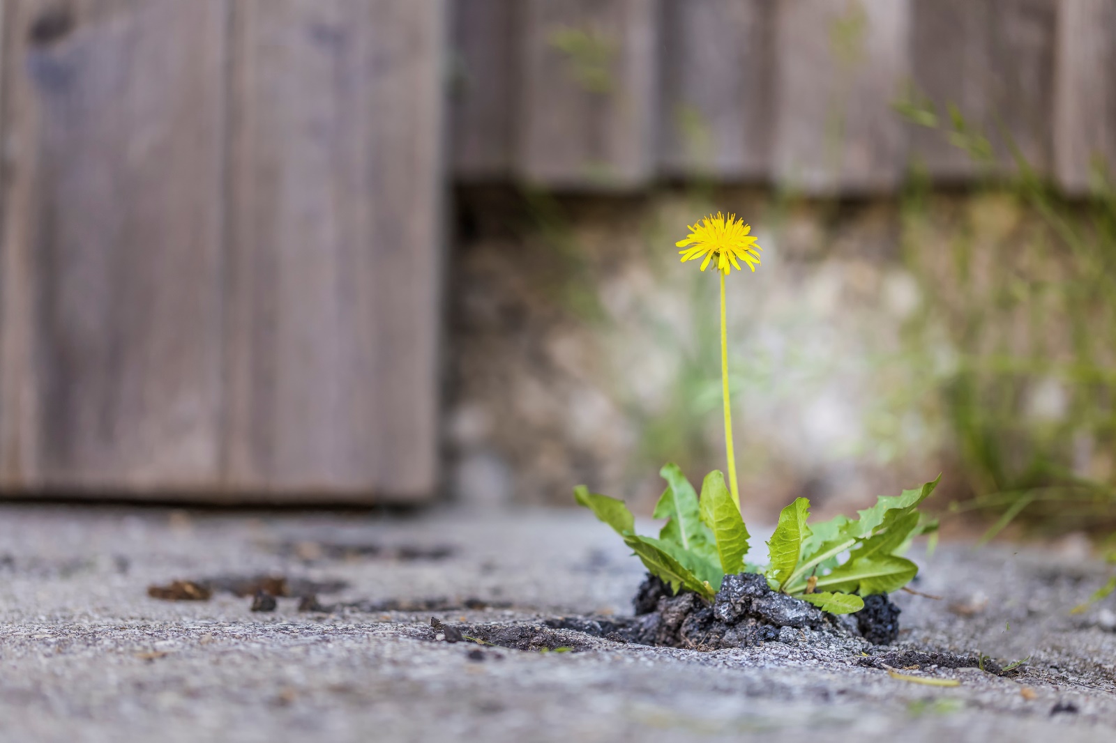 Platz 12 Conny Kleiner